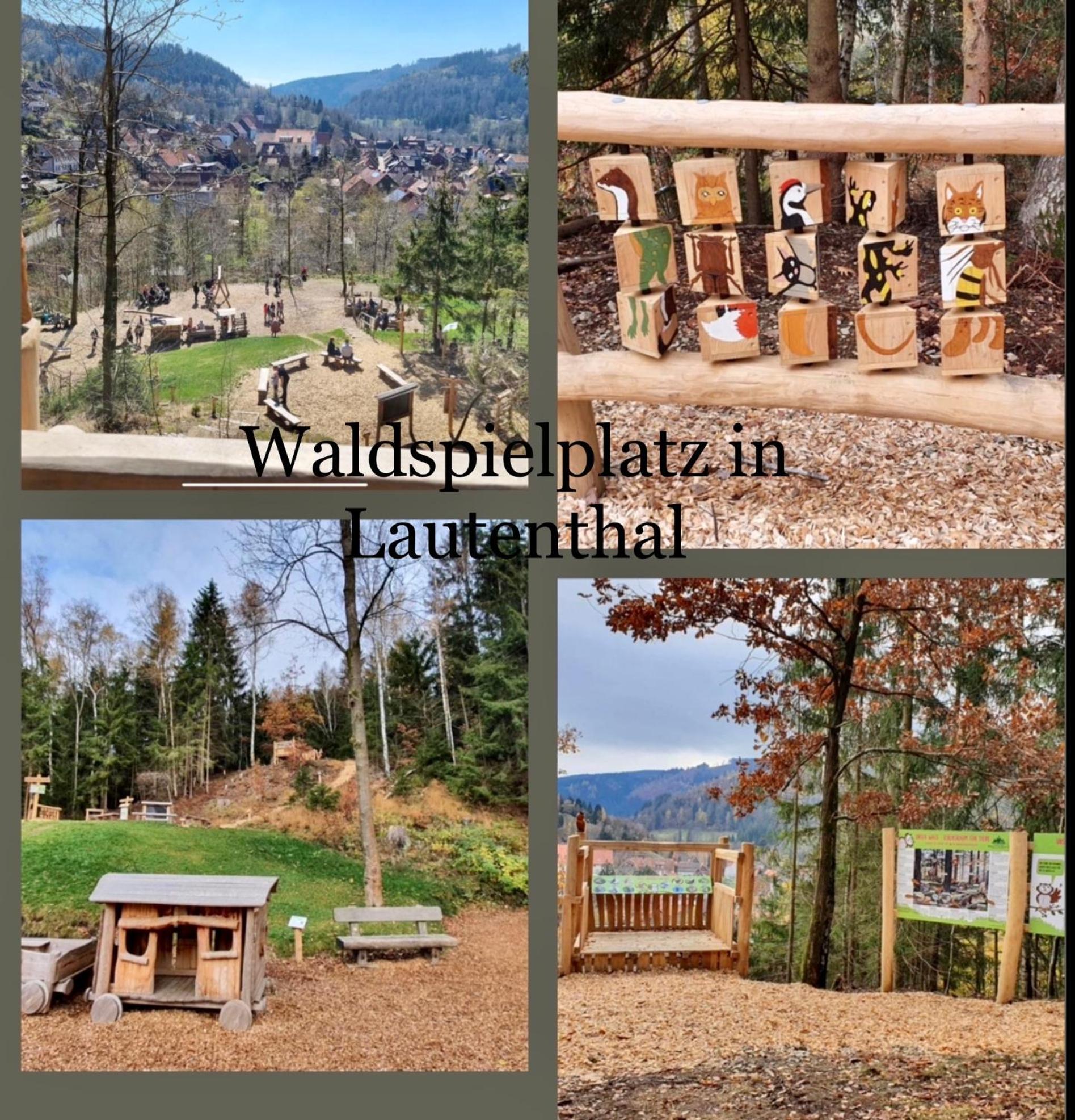 Ferienhaeuser Am Waldschloesschen Lautenthal Kültér fotó