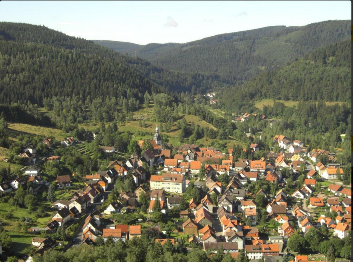 Ferienhaeuser Am Waldschloesschen Lautenthal Kültér fotó